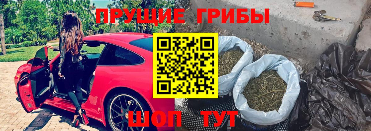 Курчатов  Галлюциногенные грибы ЛСД  дарнет шоп  Вход с VPN  Галлюциногенные грибы мухоморы 
